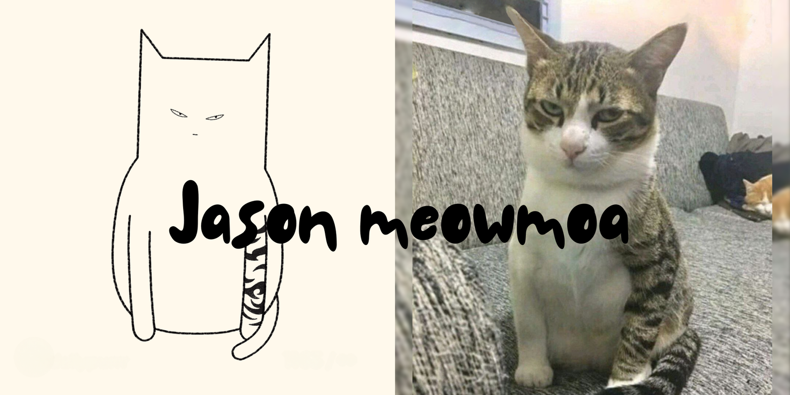 Jason Meowmoa Social Media Banner