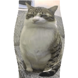 Animated Jason Meowmoa PFP